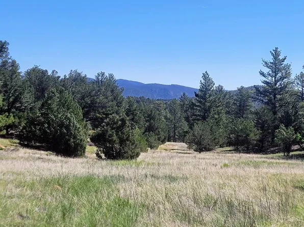 Tbd K Path, Cotopaxi, CO 81223