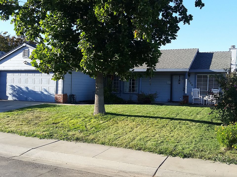 Large Front Yard