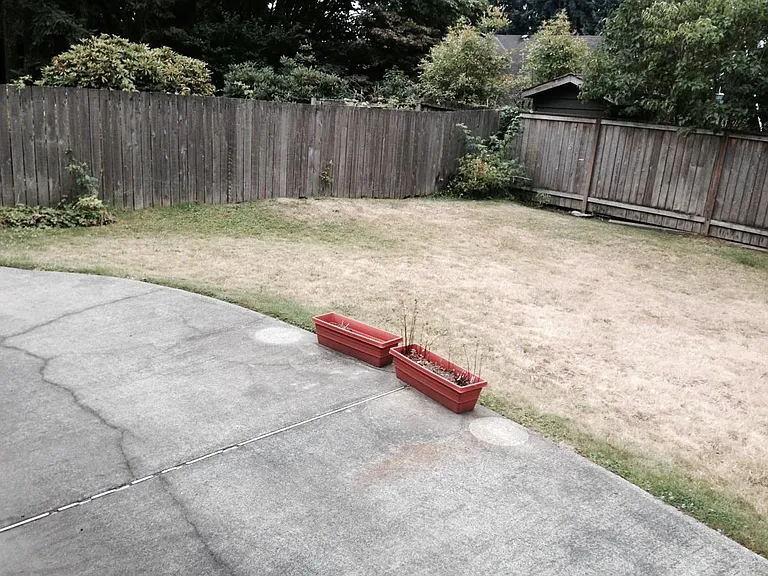 fenced backyard and concrete patio