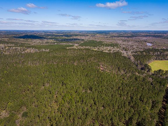 5th image of 4 Timothy Rd