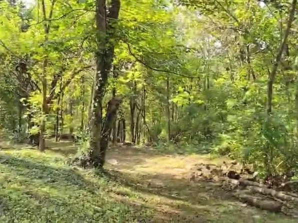 690 Lisletown Ln, Winchester, KY 40391