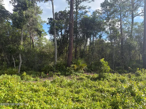 0 WAITES DR Drive, Florahome, FL 32140