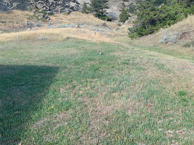 456 Highway 191 — Photo 21