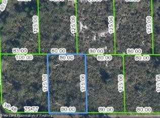 381 Carole Rd NW, Lake Placid, FL 33852