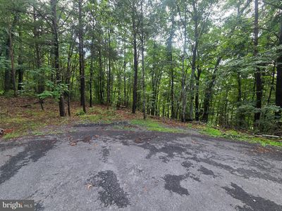 Ash Ln, Mount Jackson, VA, 22842