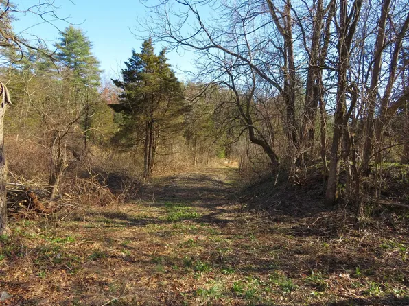 TBD Dewitt Mills Road, Hurley, NY 12443