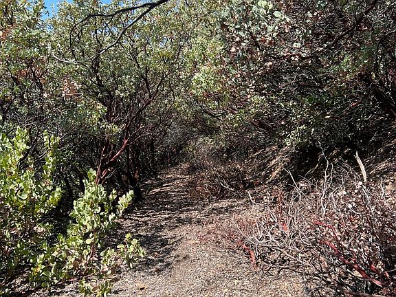 2nd image of 12550 Big Hill Rd