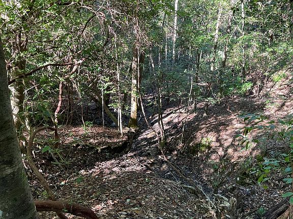 4th image of 34400 Rose Hill Rd