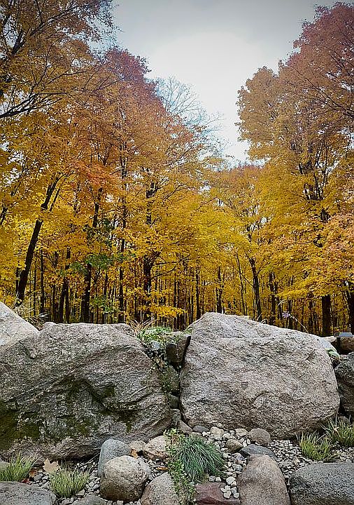10 Wooded Acres
