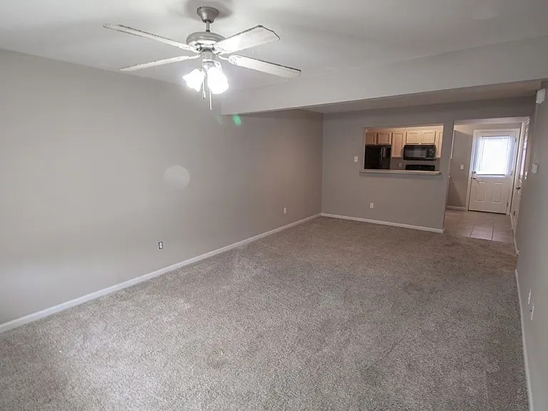 4014 Snowy Owl Dr — Photo 3