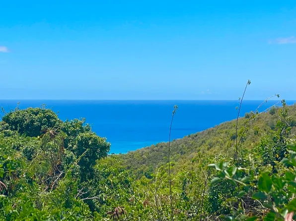 115 Little La Grange WE, St. Croix, VI 00840