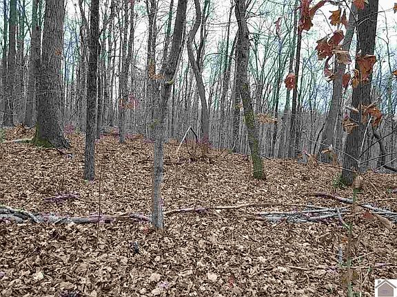 2nd image of 00 Indian Hills Trl