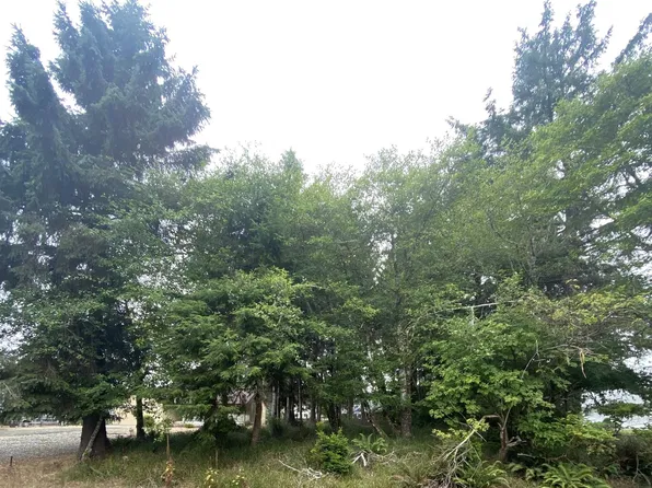 135 Duck Lake Dr NE, Ocean Shores, WA 98569