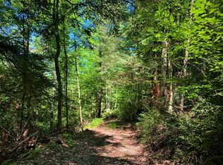 Lodge Rd, Addison, NY 14801