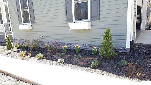Front landscaping 