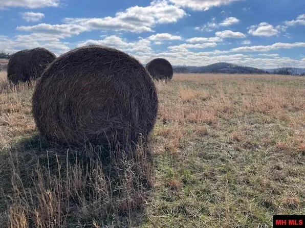 300 Highway 125 S, Yellville, AR 72687