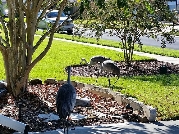 2nd image of 413 Osprey Lakes Cir