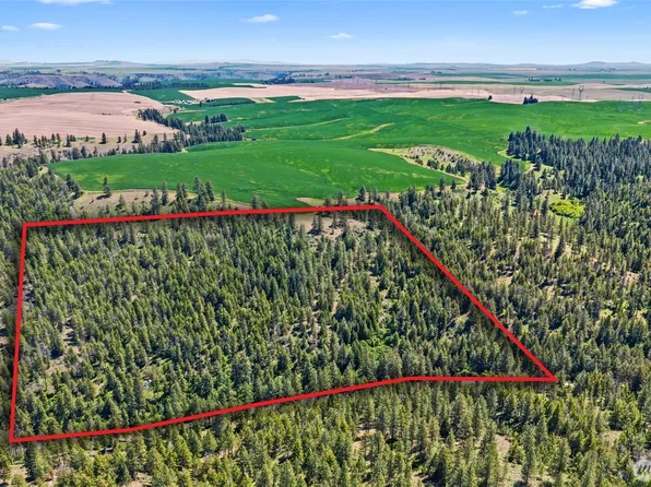 32930 N Harker Canyon, Davenport, WA 99122