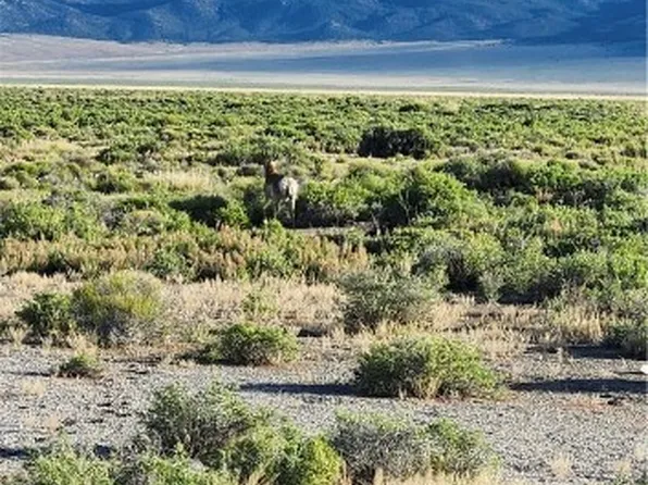2 Egan Canyon Rd, Ely, NV 89301