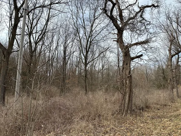 0 M 99, Albion, MI 49224