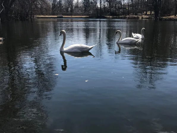 200 Griffin Avenue, Bridgeport, CT 06606