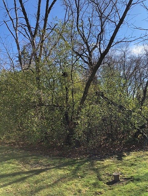 2nd image of 6503 Clarendon Hills Rd