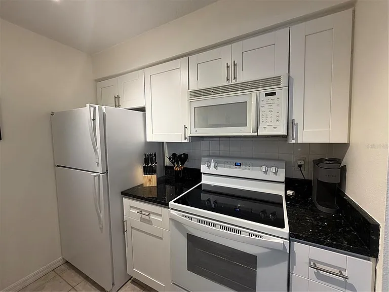 1000 W Horatio St #111 — Photo 11