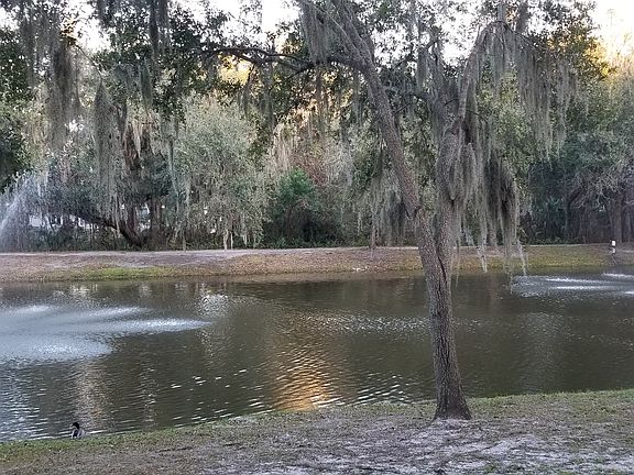 2nd image of 10917 Circle Oak Ct