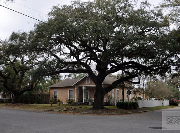 3rd image of 302 11th Ave N