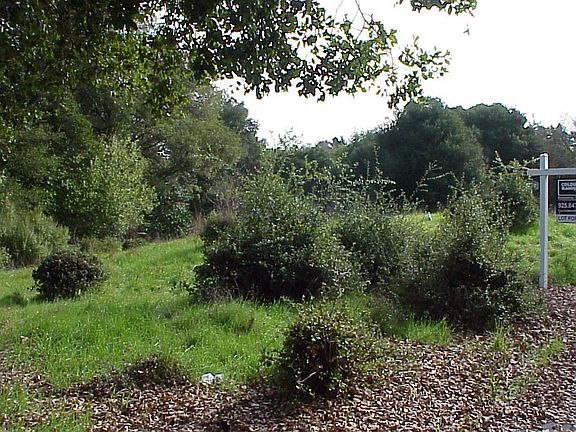 Building Area is Approx. 4400 Sq. Ft.