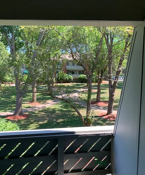 Deck View of Courtyard #2
