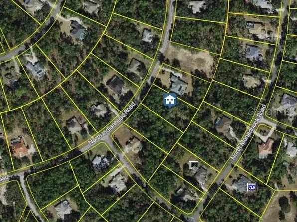 3909 N INDIANHEAD ROAD LOT 00300, HERNANDO, FL 34442