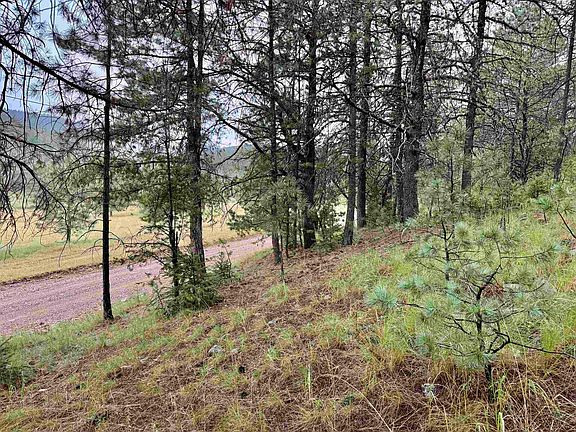 4th image of 207 Bell Canyon Rd
