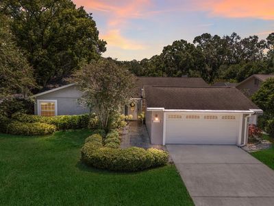 13719 Wilkes Dr, Tampa, FL, 33618