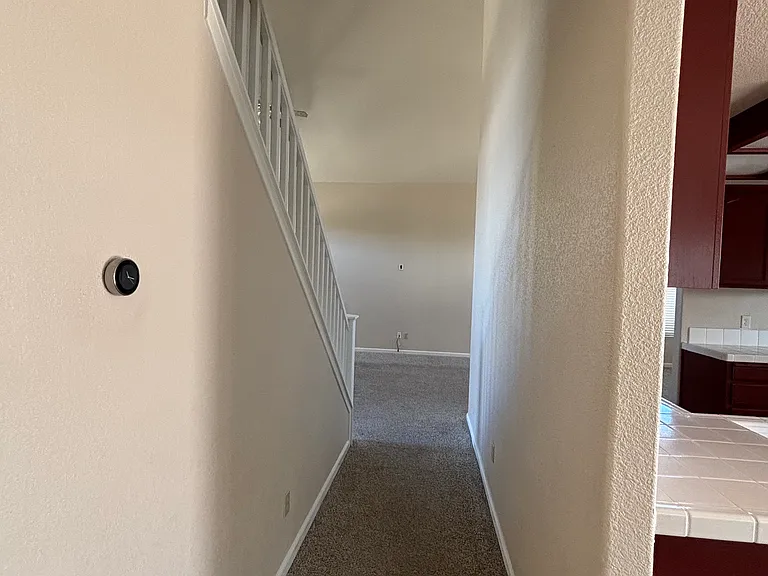 1017 Sun Meadow Dr — Photo 29