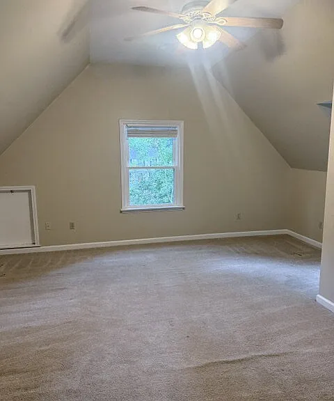 14709 Mill Spring Dr — Photo 11