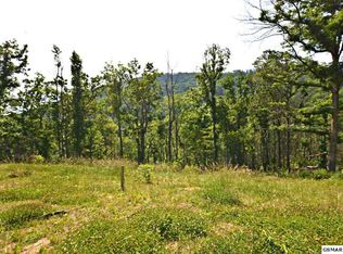 443 W Loop Rd, Gatlinburg, TN 37738