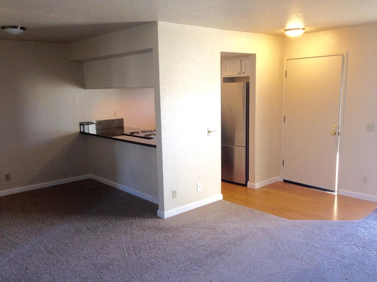 2 bed, 800 sqft, $3,200 — Photo 3