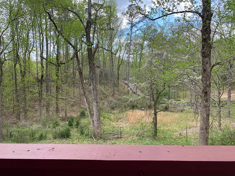 View from deck