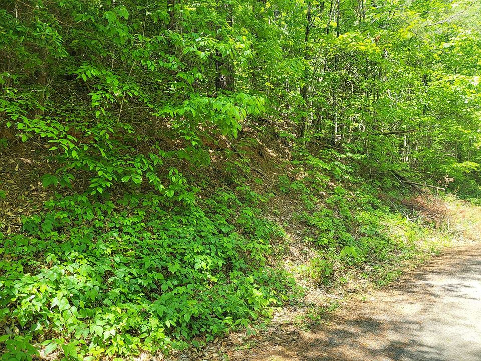 2nd image of White Eagle Rd