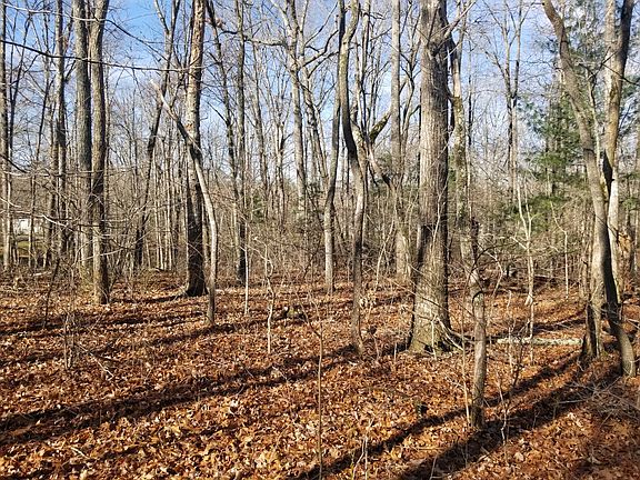 4th image of 317 Altakima Ln Lot 146