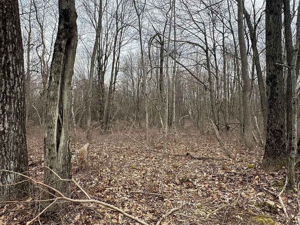 1st image of LOT 895 Hornbeam Ct