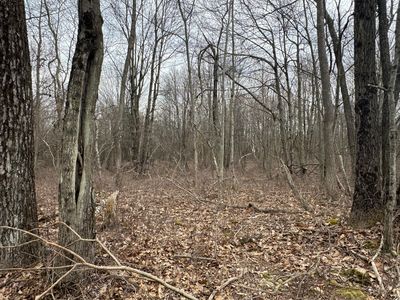 LOT 895 Hornbeam Ct, Long Pond, PA, 18334
