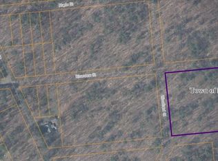 3582 Riverview St, Binghamton, NY 13903