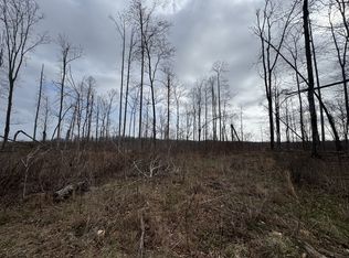 0 S Peninsula Edge Dr LOT 17, Smithville, TN 37166