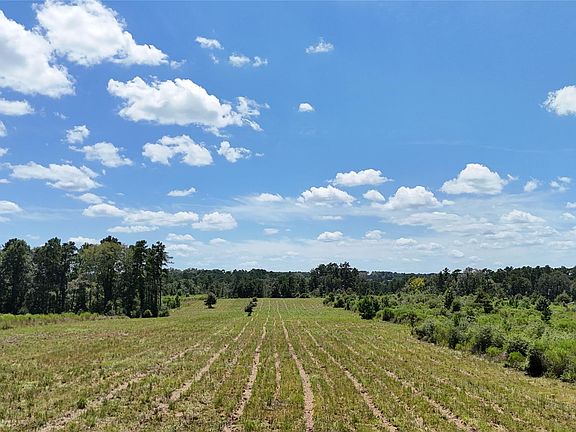 5th image of Oakdale Loop