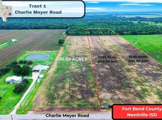 TRACT 1 Charlie Meyer Rd, Damon, TX 77430