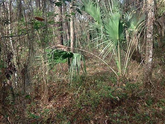 3rd image of 18954 N County Road 329