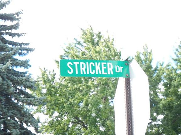 5th image of 31711 Stricker Dr