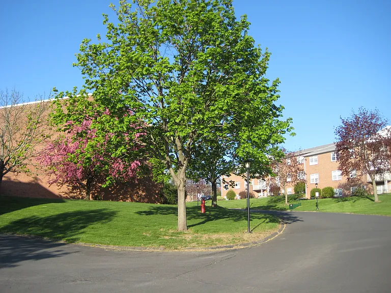 Park Hill Lane Apartments — Photo 24
